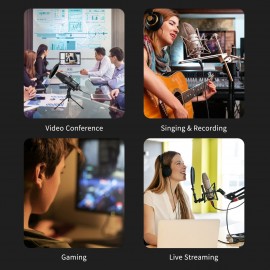 USB Microphone Computer PC Mic Heart-shape directional Condenser Conferencer with Stand Plug and Play Dynamic RGB Lighting Compatible with Windows MacOS for Meeting Streaming Singing Recording Podcasting Gaming