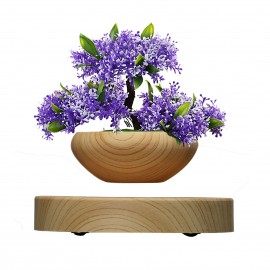 Magnetic Levitating Flowerpot Air Bonsai Pot Floating Rotating Plant Pot for Home Office Room Desk Display Decor (Not Include Plant)