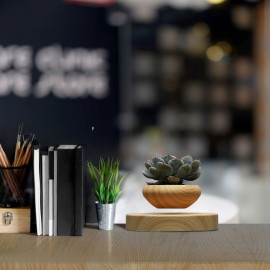 Magnetic Levitating Flowerpot Air Bonsai Pot Floating Rotating Plant Pot for Home Office Room Desk Display Decor (Not Include Plant)